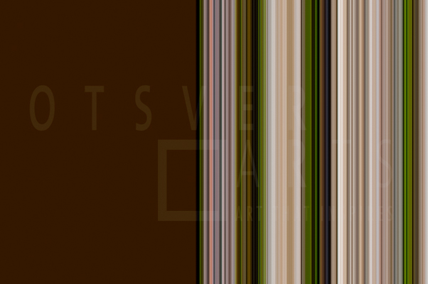 Lines Just Brown 2